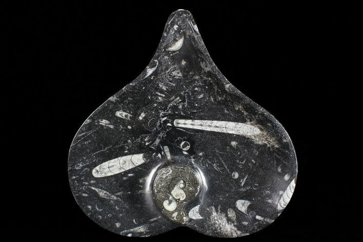 Heart Shaped Fossil Goniatite Dish #73767